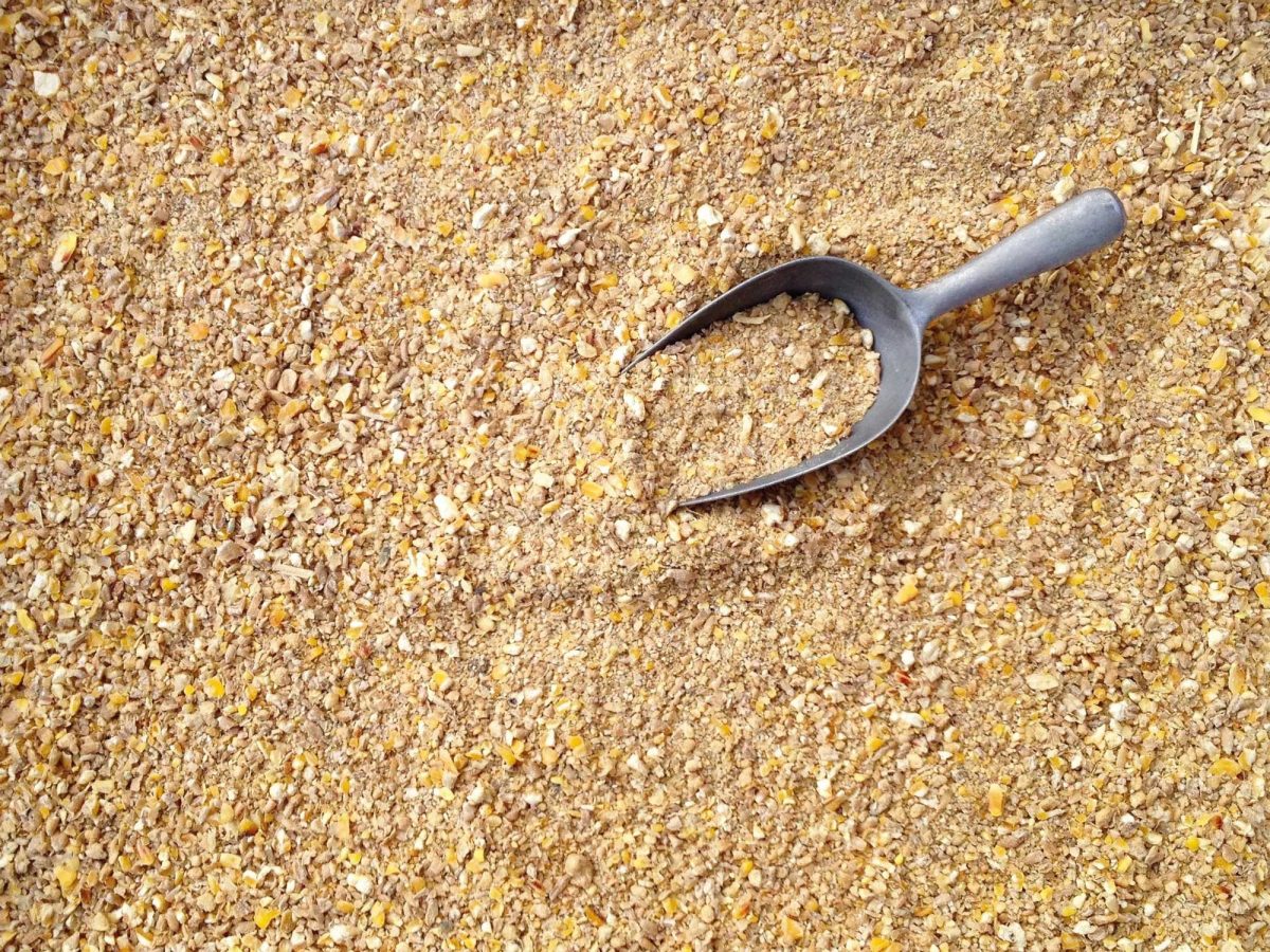 Materias primas cuidadosamente seleccionadas para garantizar una nutrición equilibrada, una alta calidad y el mejor rendimiento en alimentación animal.