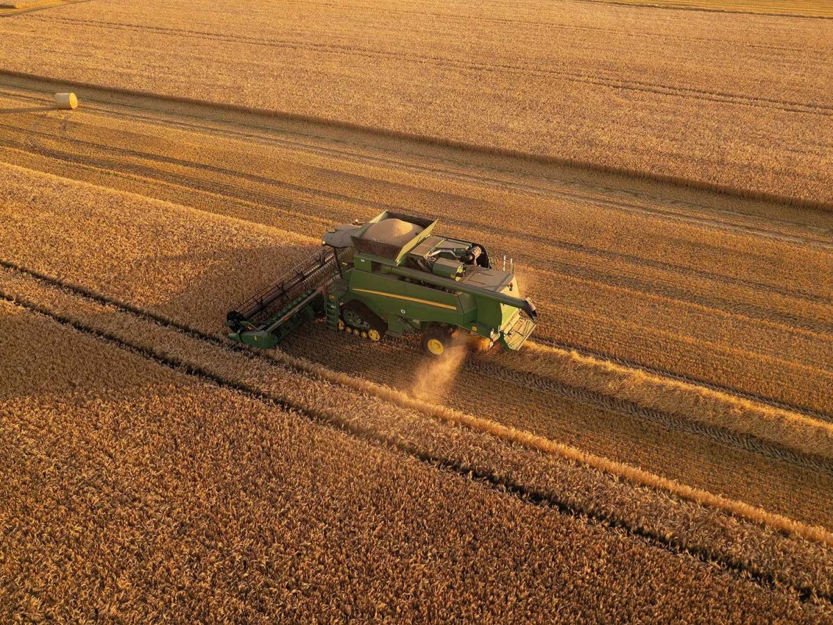 así es como obtenemos nuestros productos alimenticios de primera calidad