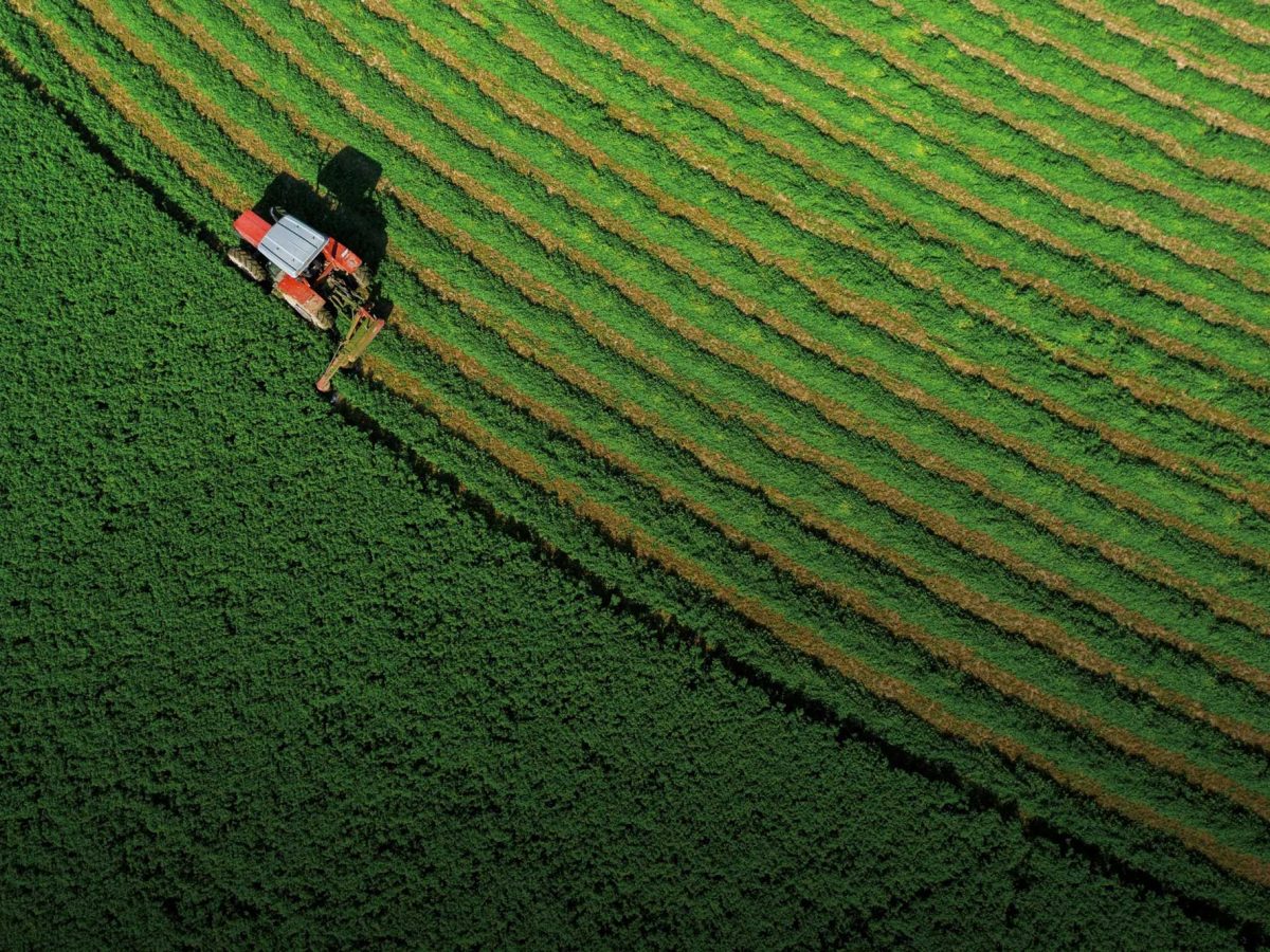 así es como obtenemos nuestros productos alimenticios de primera calidad