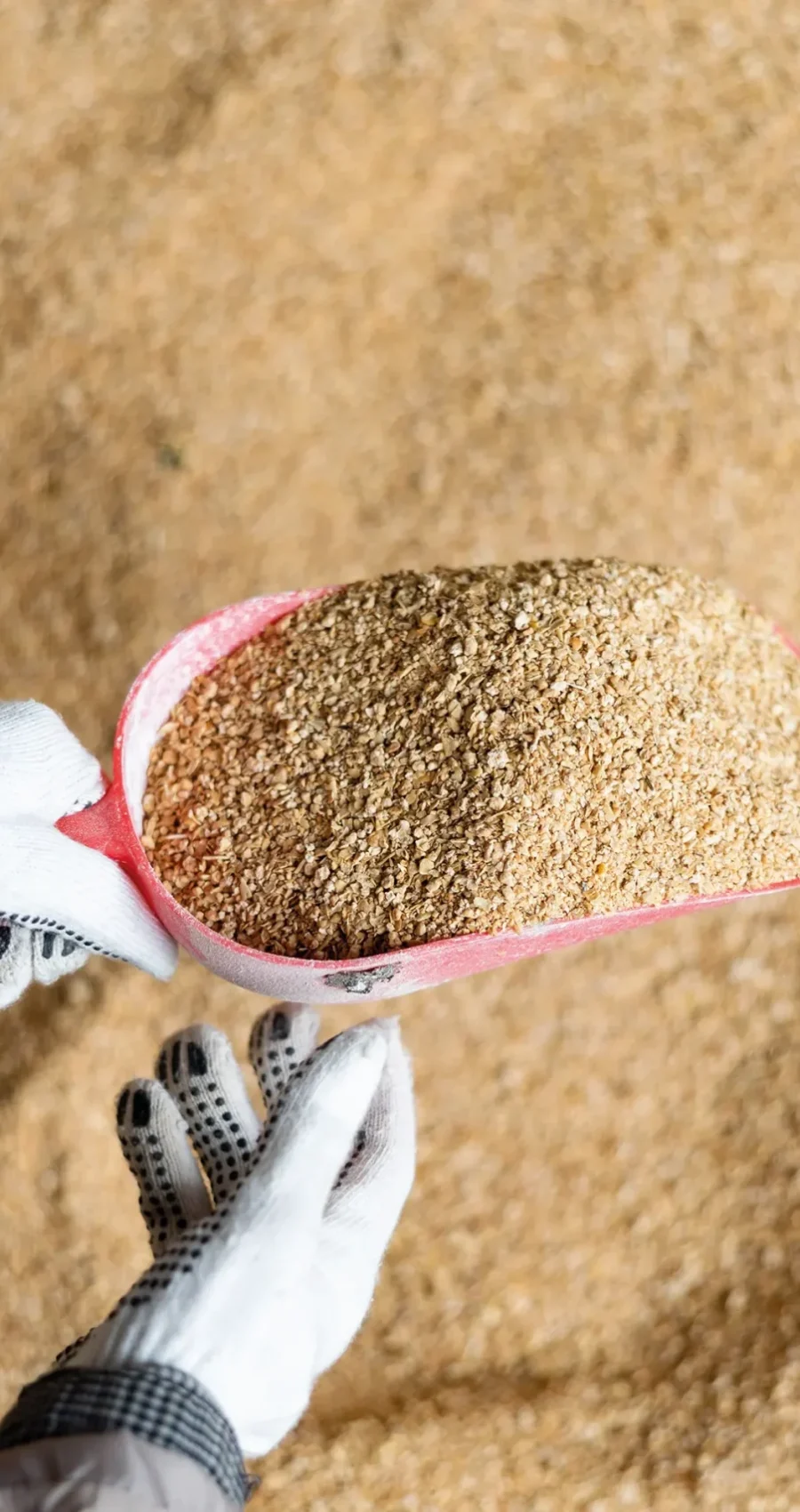 alimentación de primer calidad para tus animales